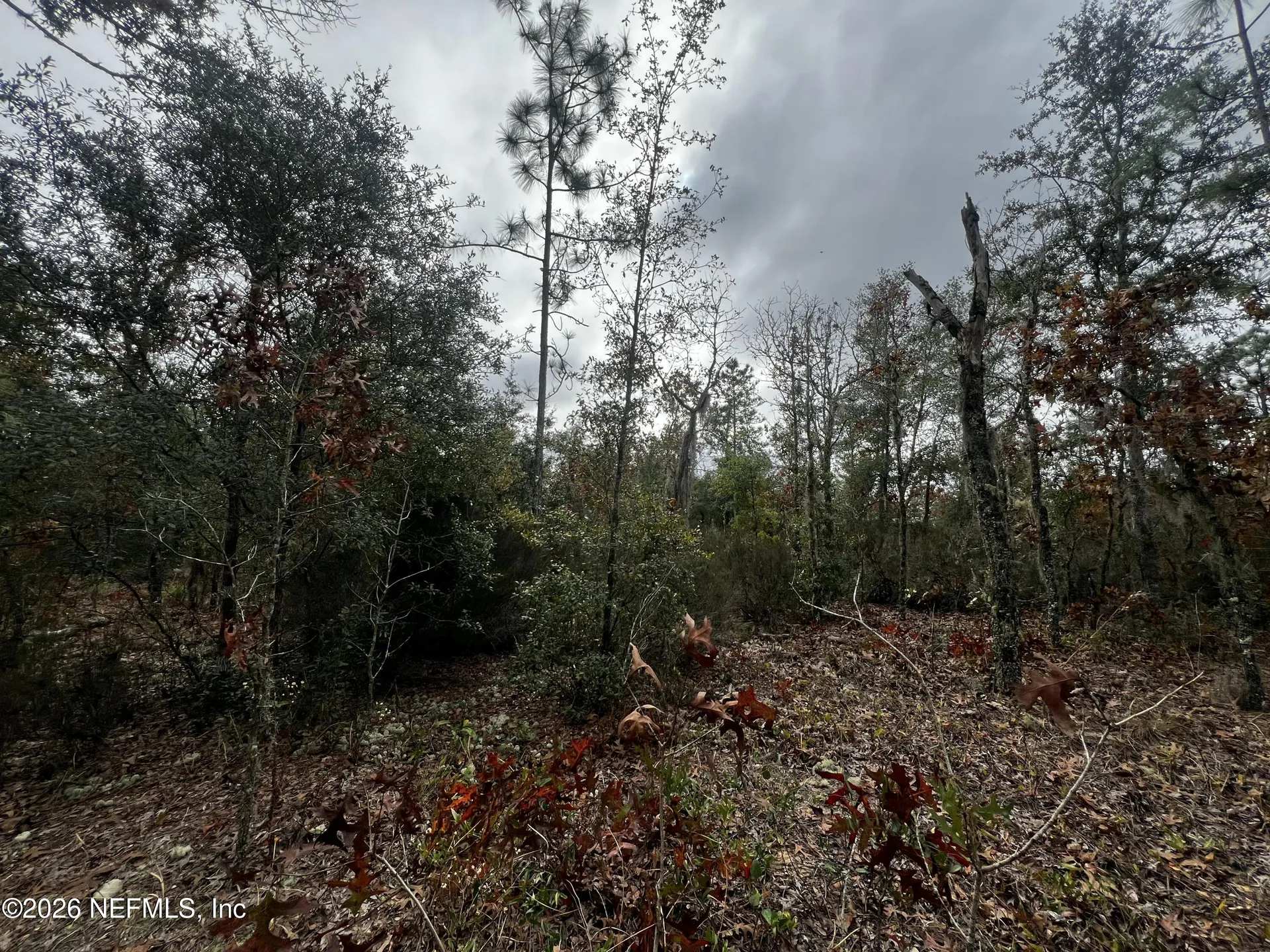 307 Lemon Street Interlachen FL 32148