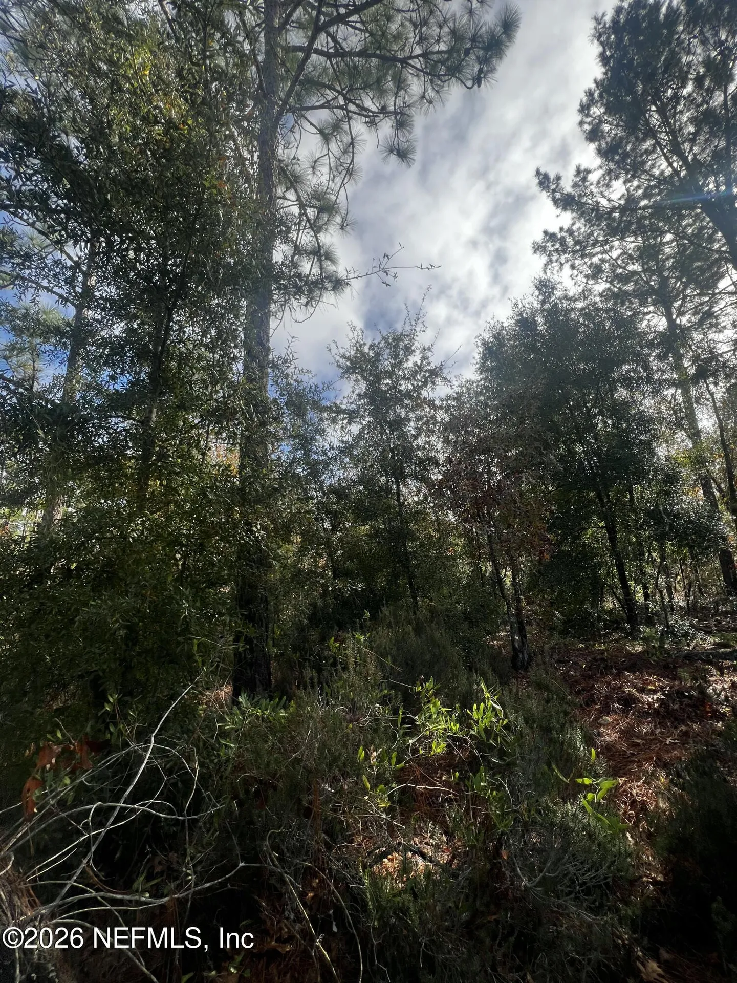307 Lemon Street Interlachen FL 32148