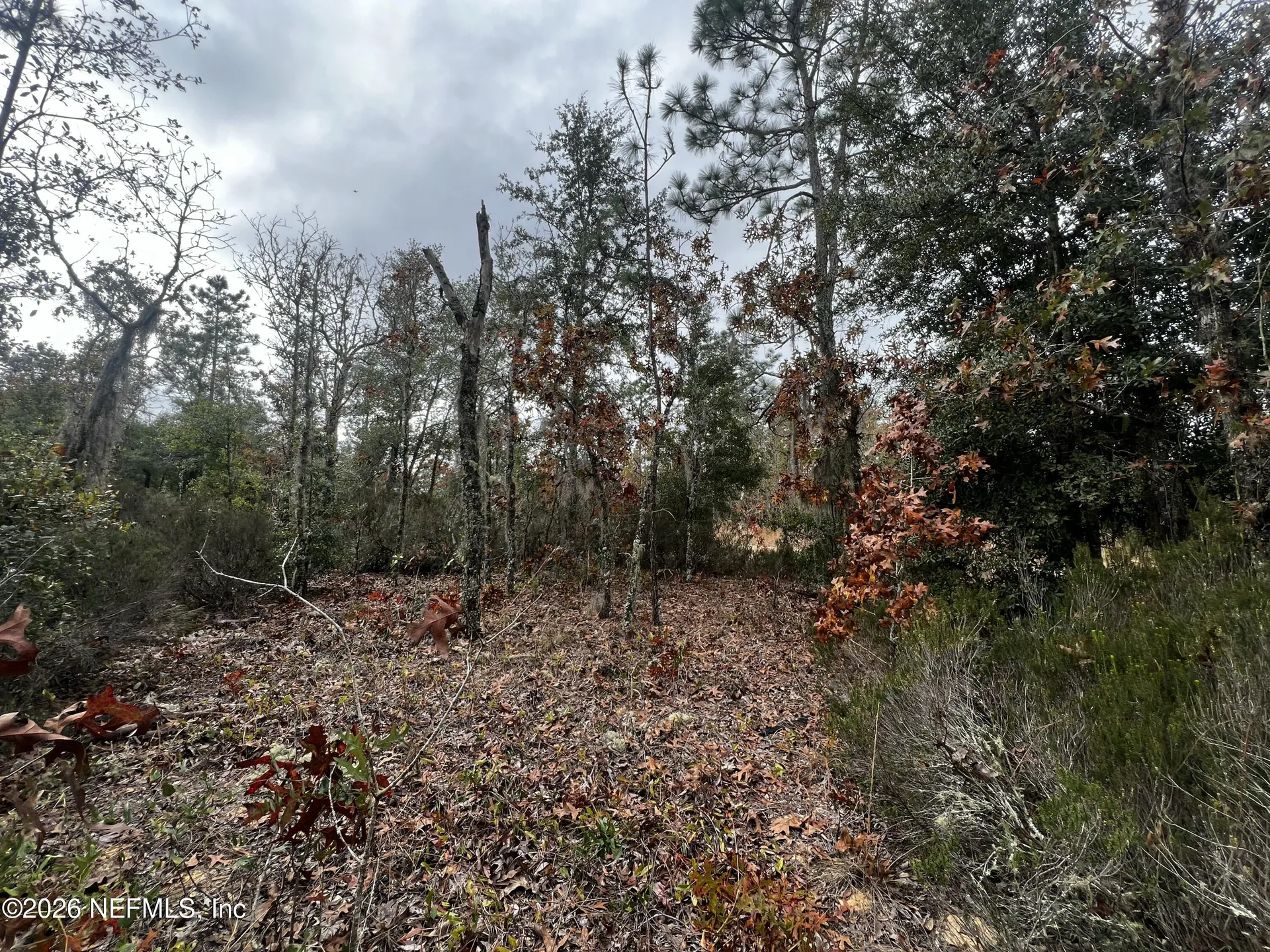 307 Lemon Street Interlachen FL 32148