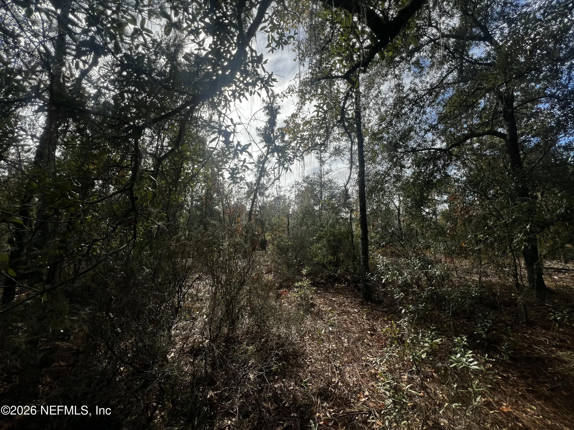 307 Lemon Street Interlachen FL 32148