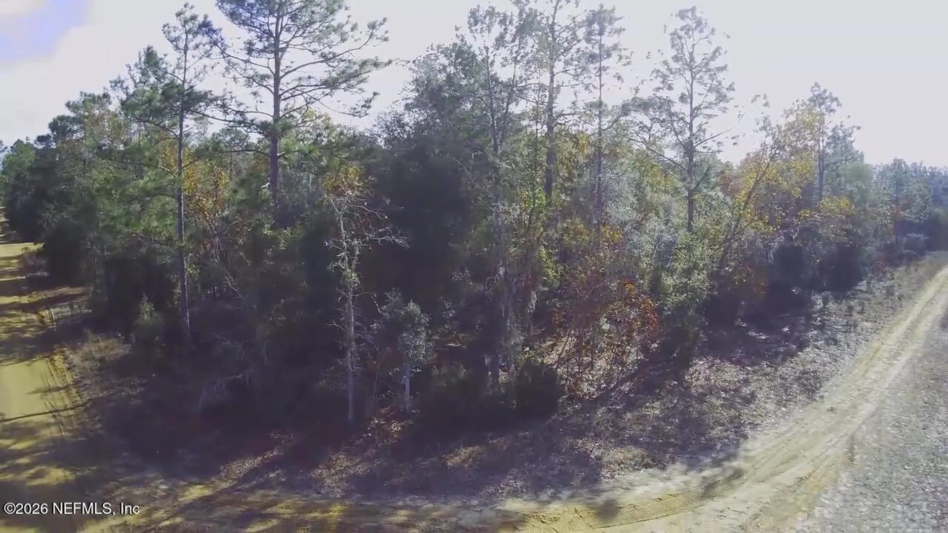 307 Lemon Street Interlachen FL 32148