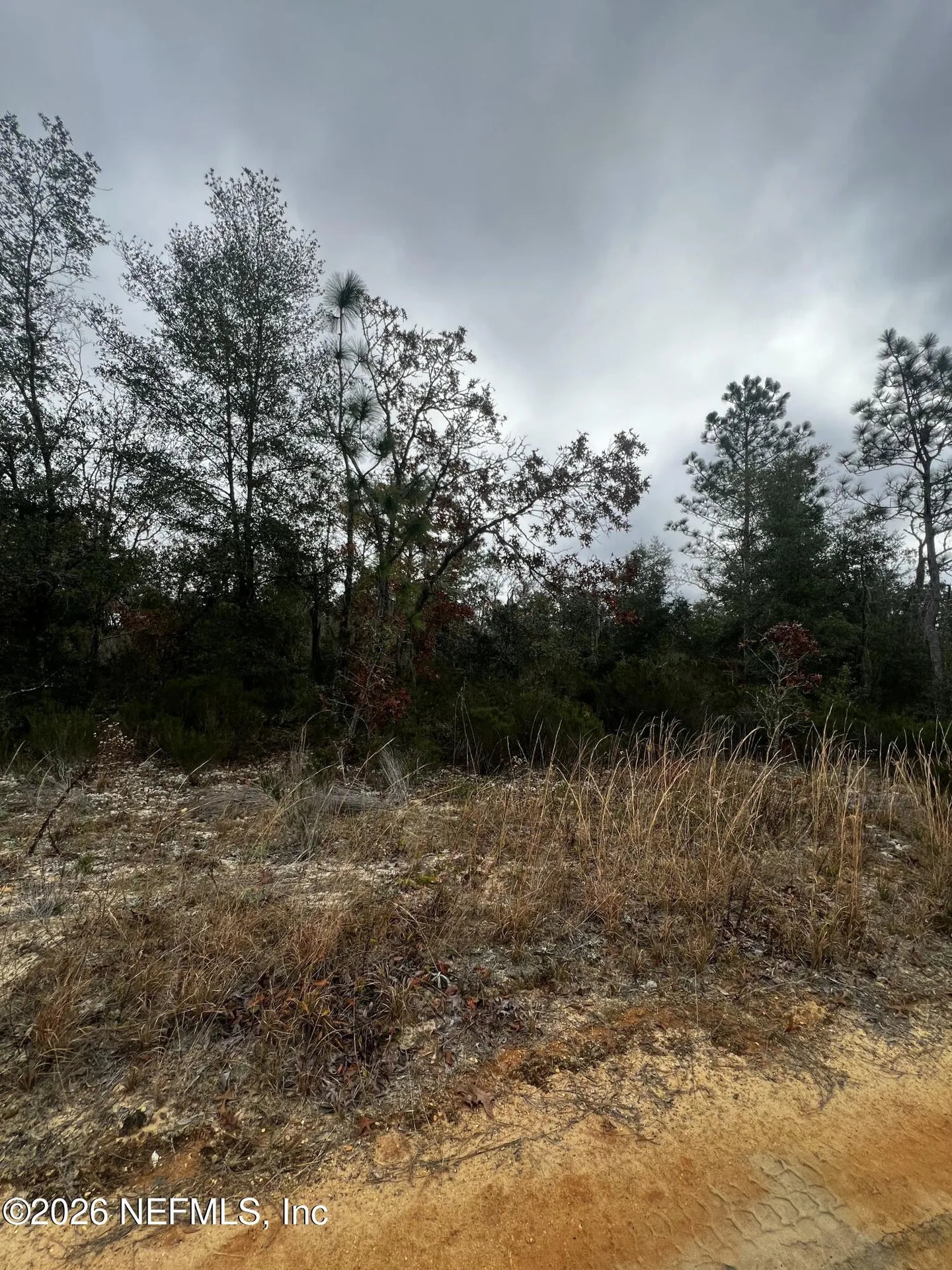 307 Lemon Street Interlachen FL 32148