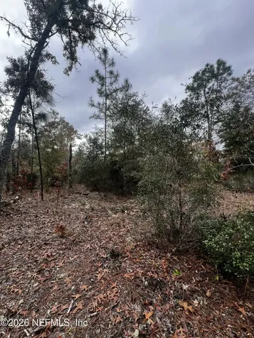 307 Lemon Street Interlachen FL 32148