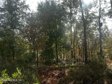 307 Lemon Street Interlachen FL 32148
