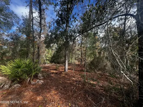 307 Lemon Street Interlachen FL 32148