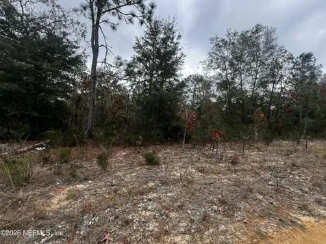 307 Lemon Street Interlachen FL 32148