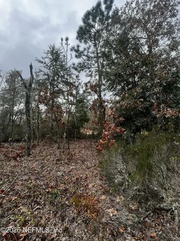 307 Lemon Street Interlachen FL 32148