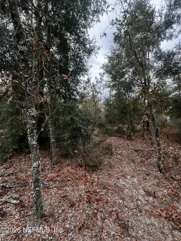 307 Lemon Street Interlachen FL 32148