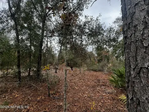 307 Lemon Street Interlachen FL 32148