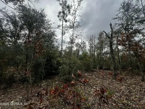307 Lemon Street Interlachen FL 32148