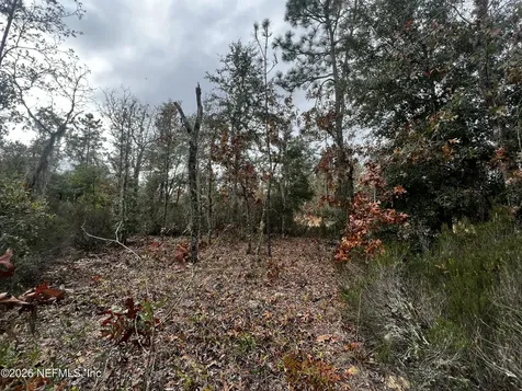 307 Lemon Street Interlachen FL 32148