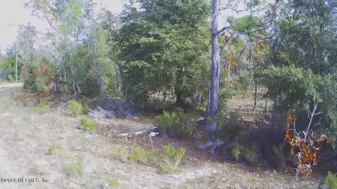 307 Lemon Street Interlachen FL 32148