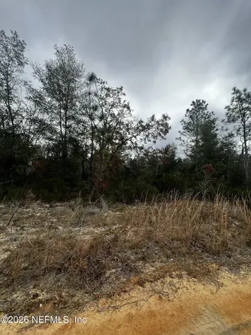 307 Lemon Street Interlachen FL 32148