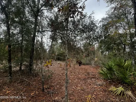 307 Lemon Street Interlachen FL 32148
