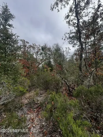 307 Lemon Street Interlachen FL 32148