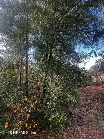 307 Lemon Street Interlachen FL 32148