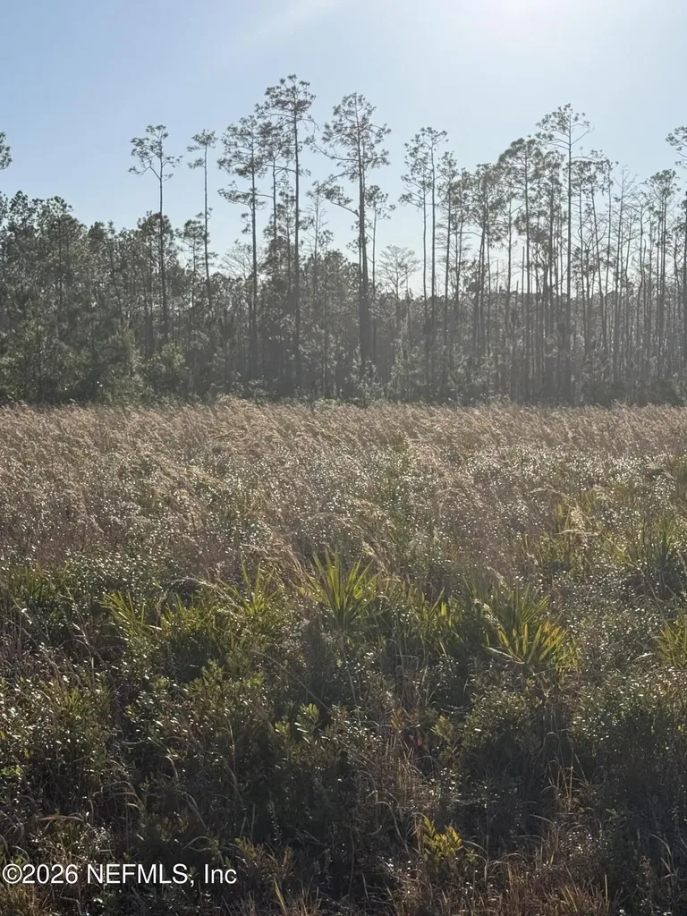 0 Conner Nelson Road Hilliard FL 32046