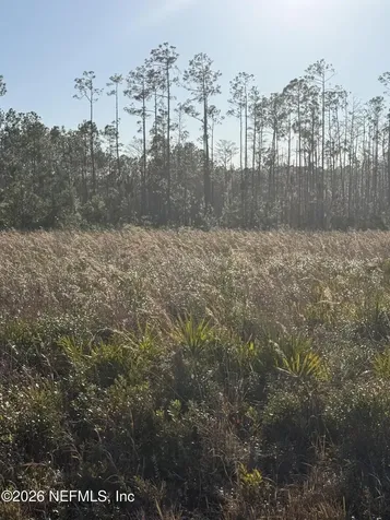 0 Conner Nelson Road Hilliard FL 32046