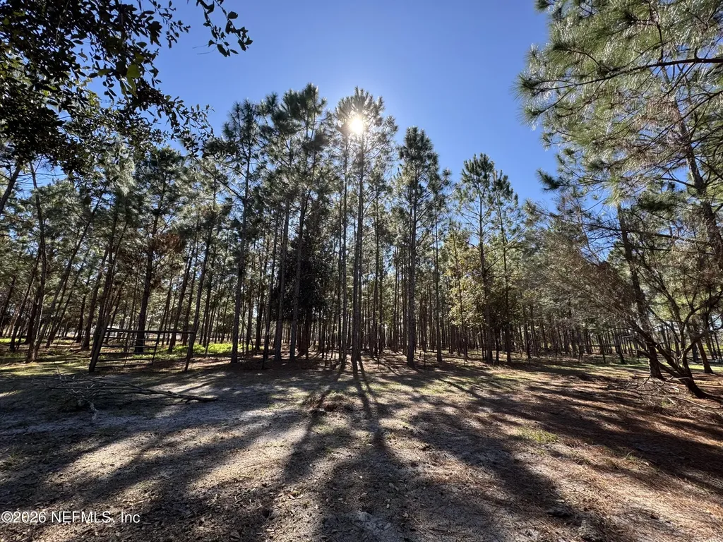 0 SW 105th Terrace Brooker FL 32622