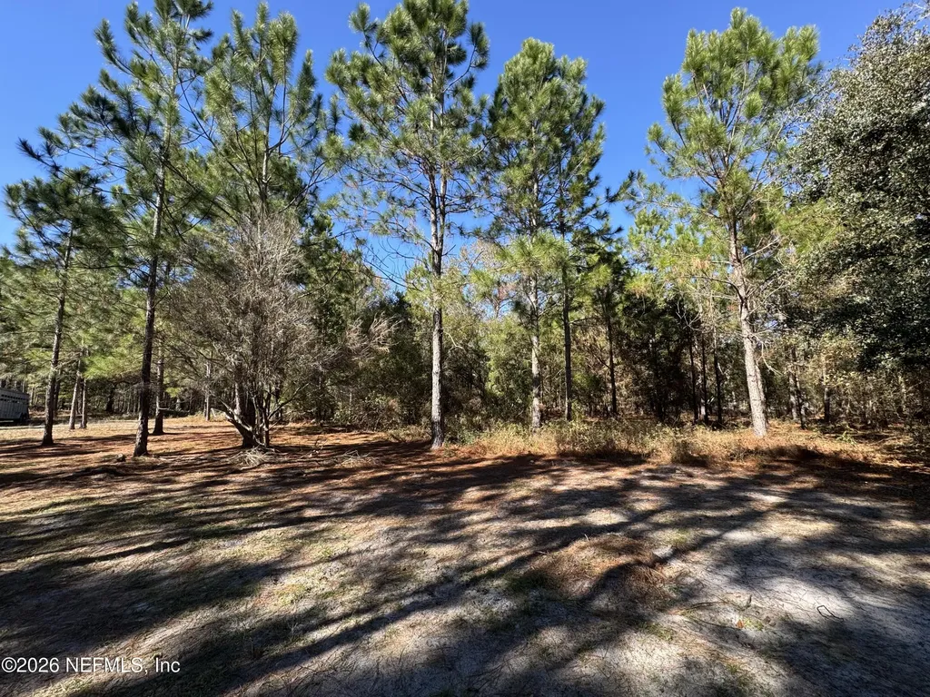 0 SW 105th Terrace Brooker FL 32622