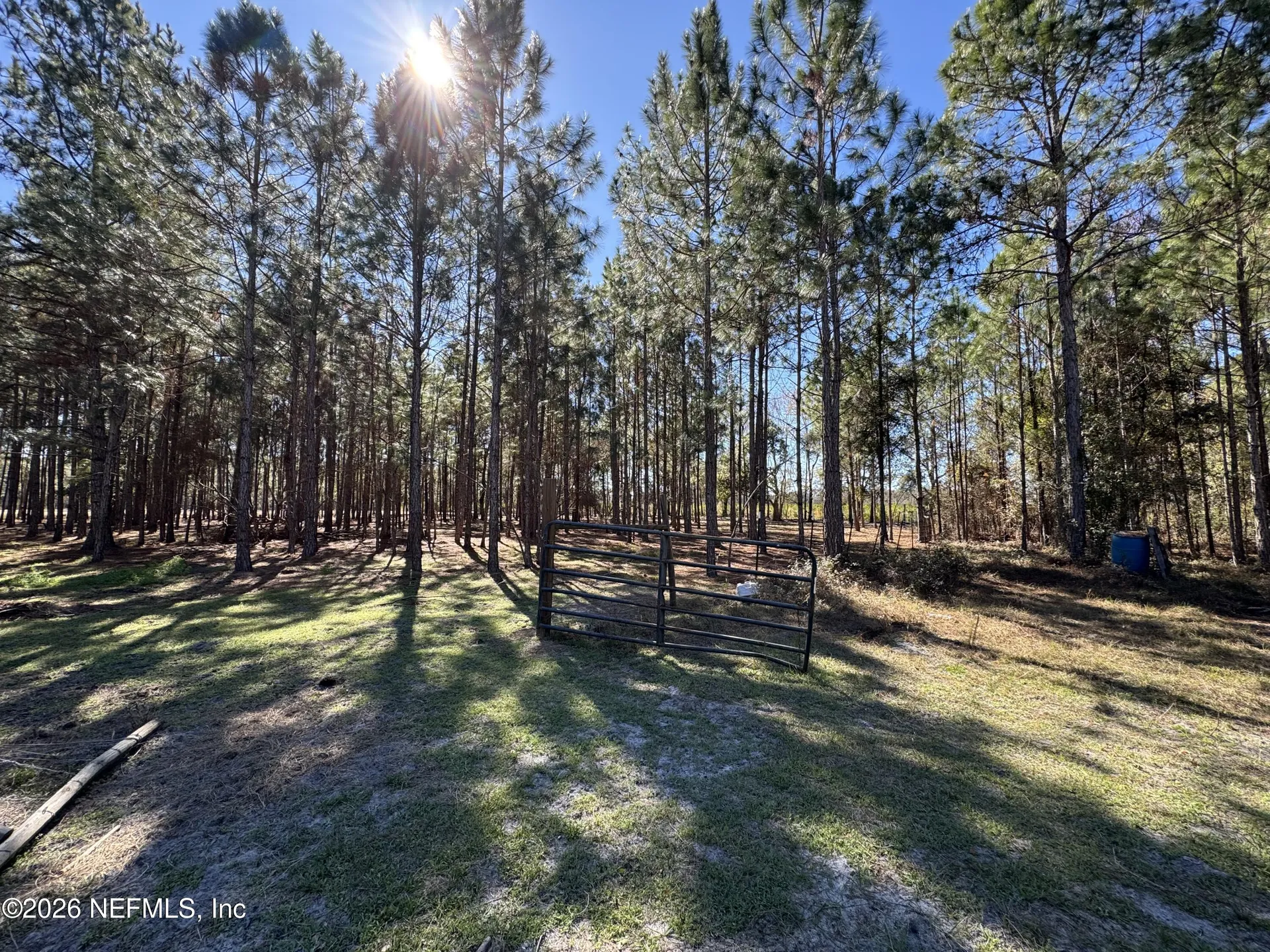 0 SW 105th Terrace Brooker FL 32622