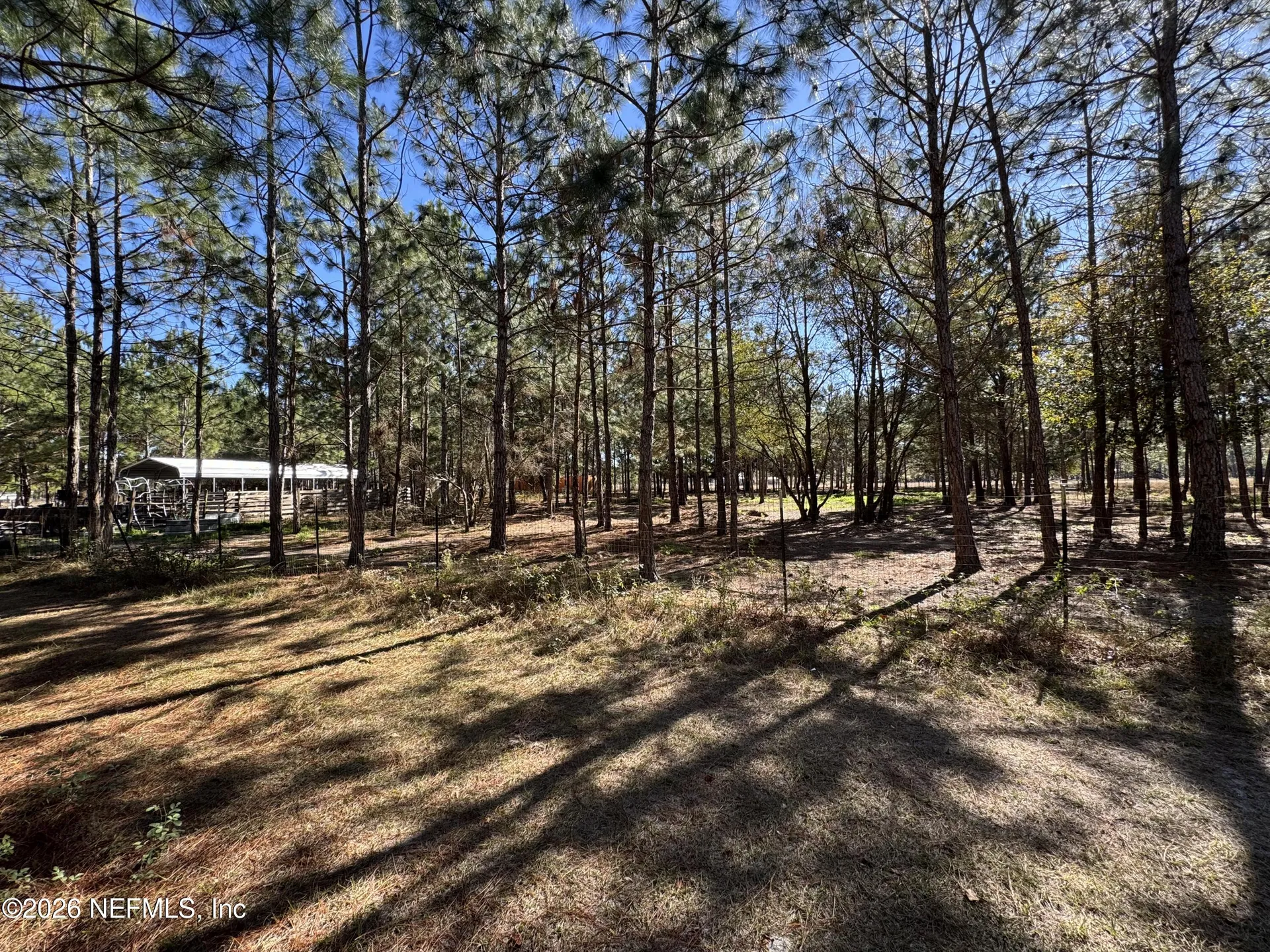 0 SW 105th Terrace Brooker FL 32622