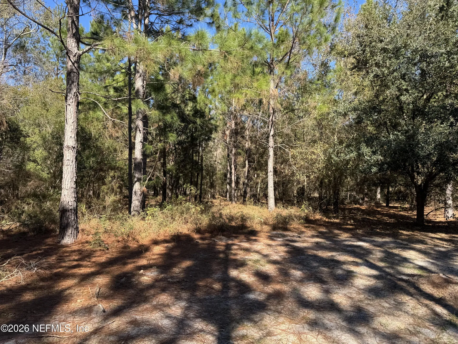 0 SW 105th Terrace Brooker FL 32622