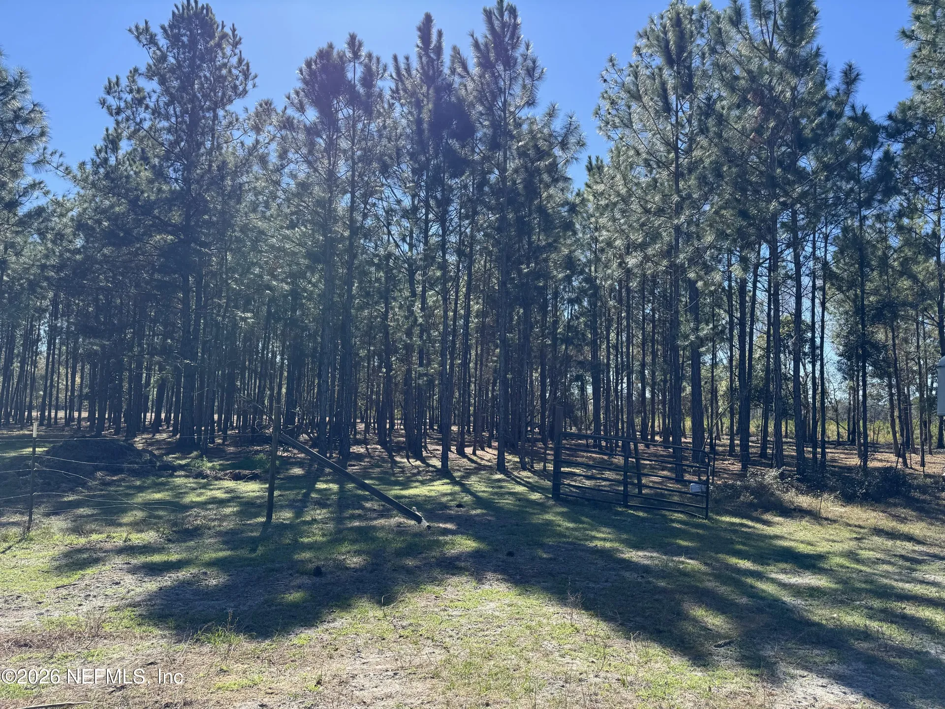 0 SW 105th Terrace Brooker FL 32622