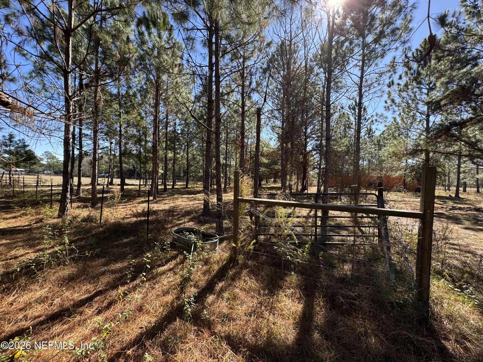 0 SW 105th Terrace Brooker FL 32622