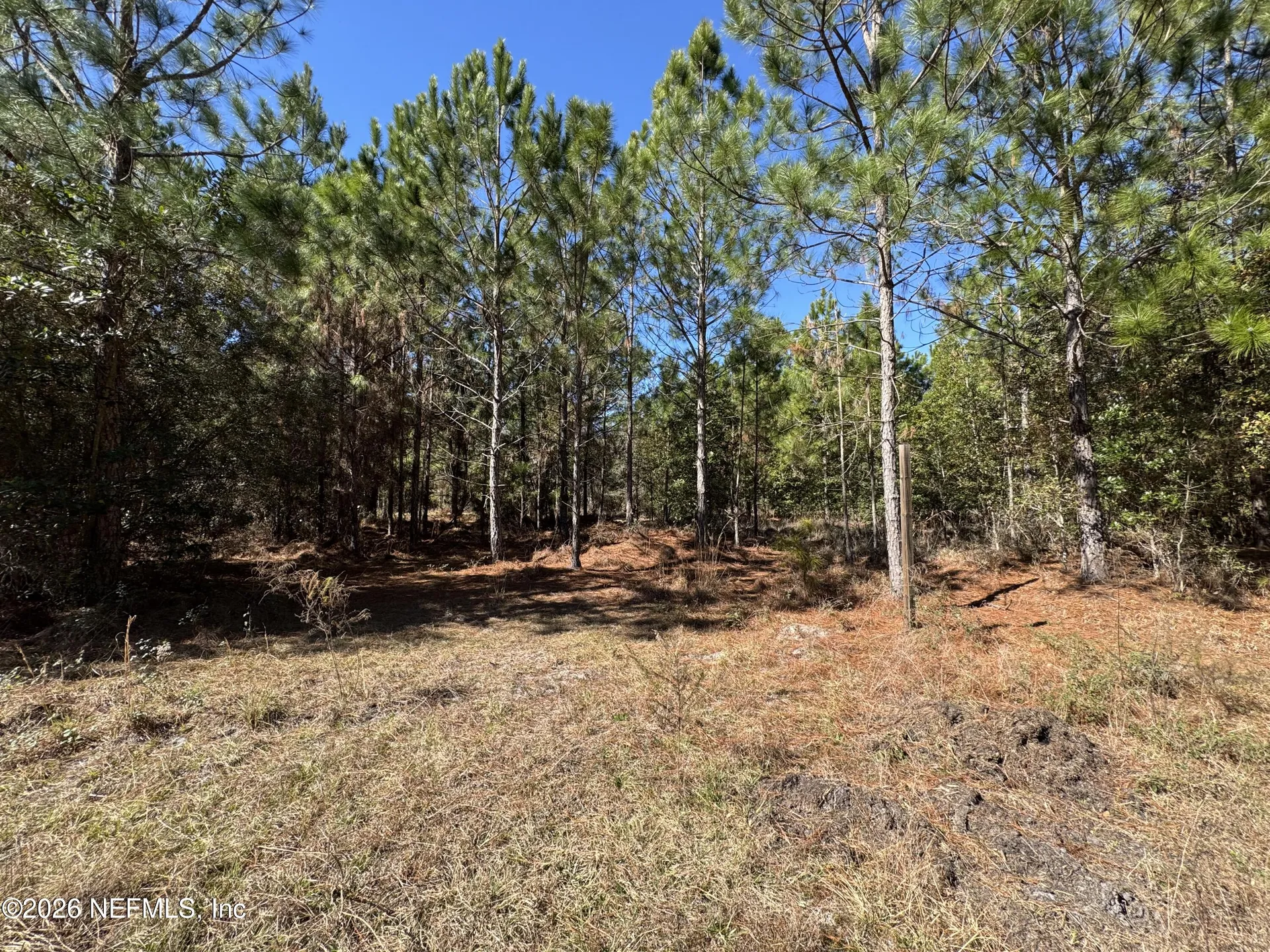 0 SW 105th Terrace Brooker FL 32622
