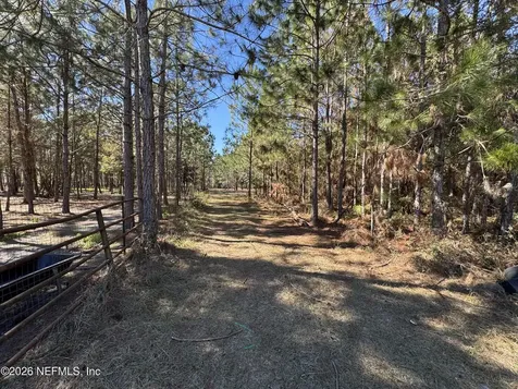 0 SW 105th Terrace Brooker FL 32622