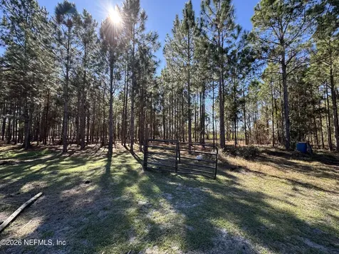 0 SW 105th Terrace Brooker FL 32622