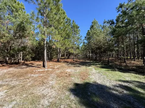 0 SW 105th Terrace Brooker FL 32622