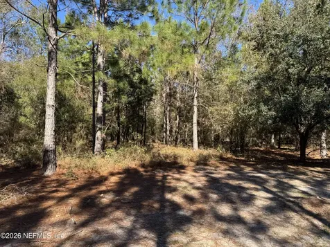 0 SW 105th Terrace Brooker FL 32622