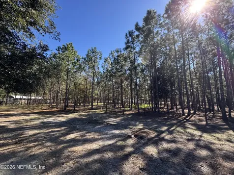 0 SW 105th Terrace Brooker FL 32622