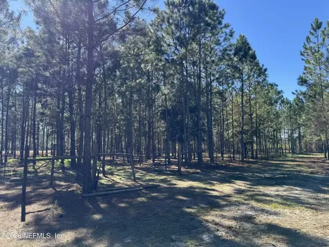 0 SW 105th Terrace Brooker FL 32622