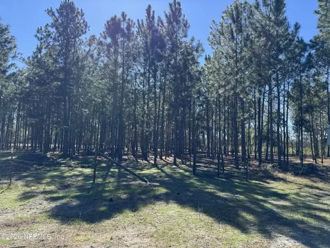 0 SW 105th Terrace Brooker FL 32622