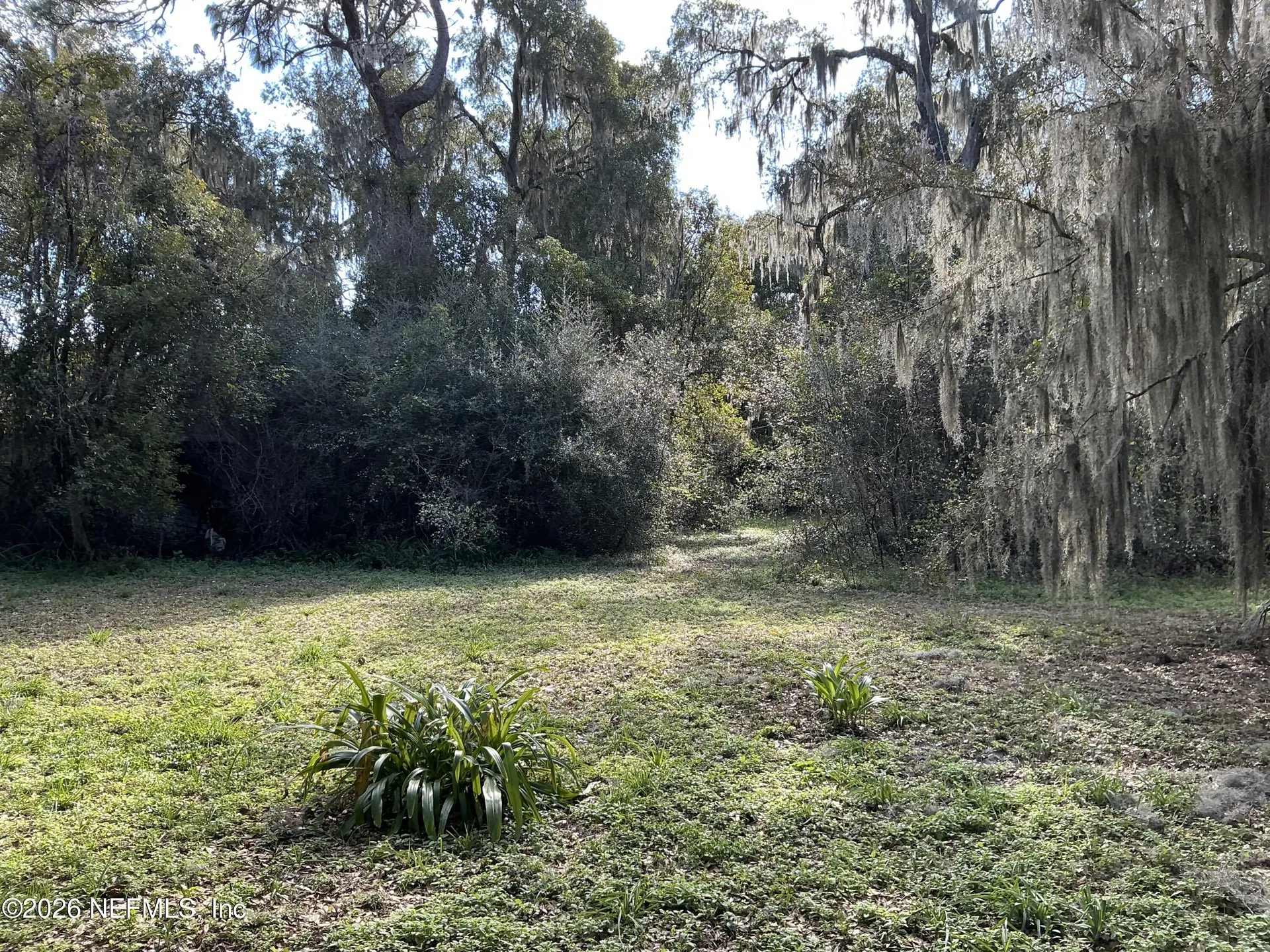 117 Nellie Street Palatka FL 32177