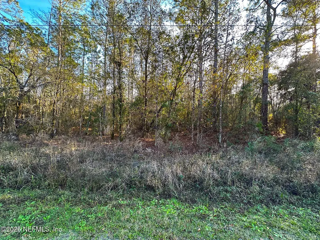 0428 Division Street Hastings FL 32145