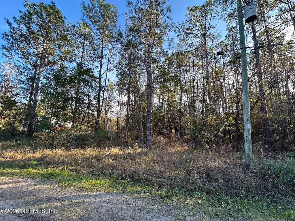 0428 Division Street Hastings FL 32145