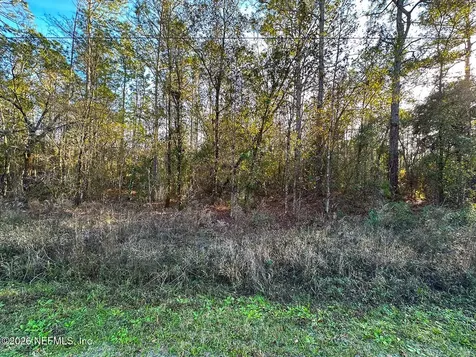 0428 Division Street Hastings FL 32145
