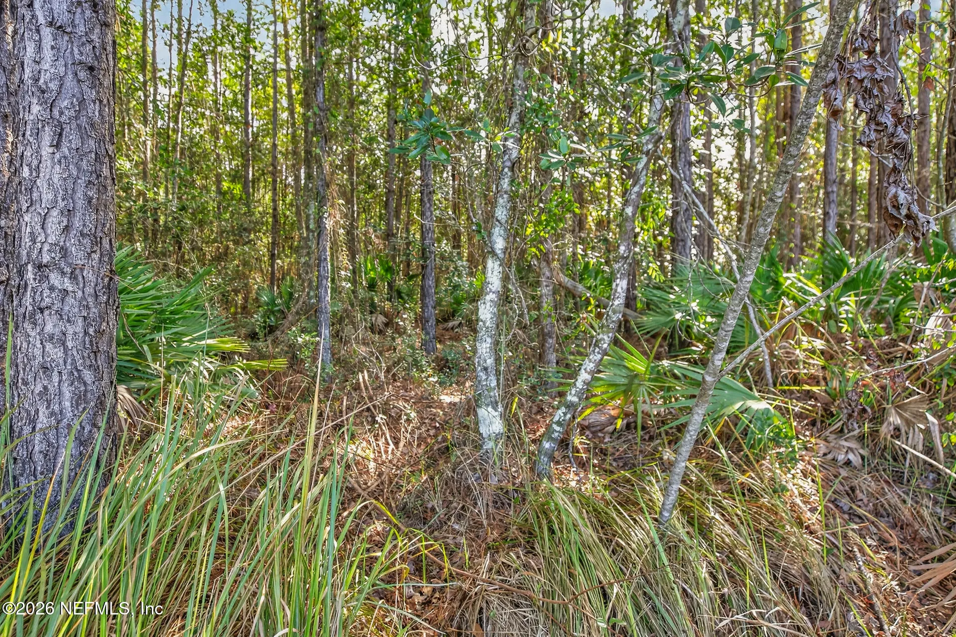 12456 Dewhurst Circle Jacksonville FL 32218