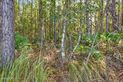 12456 Dewhurst Circle Jacksonville FL 32218