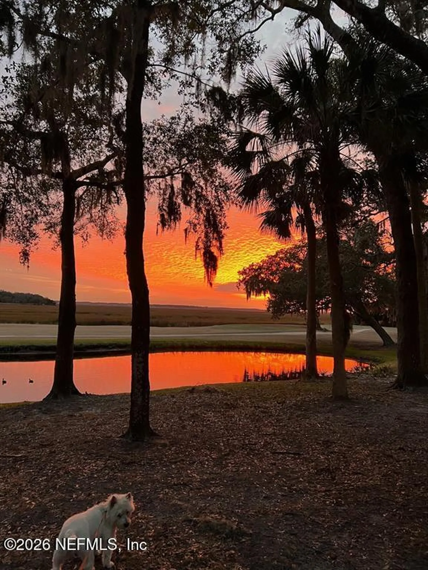 3051 Sea Marsh Road Fernandina Beach FL 32034