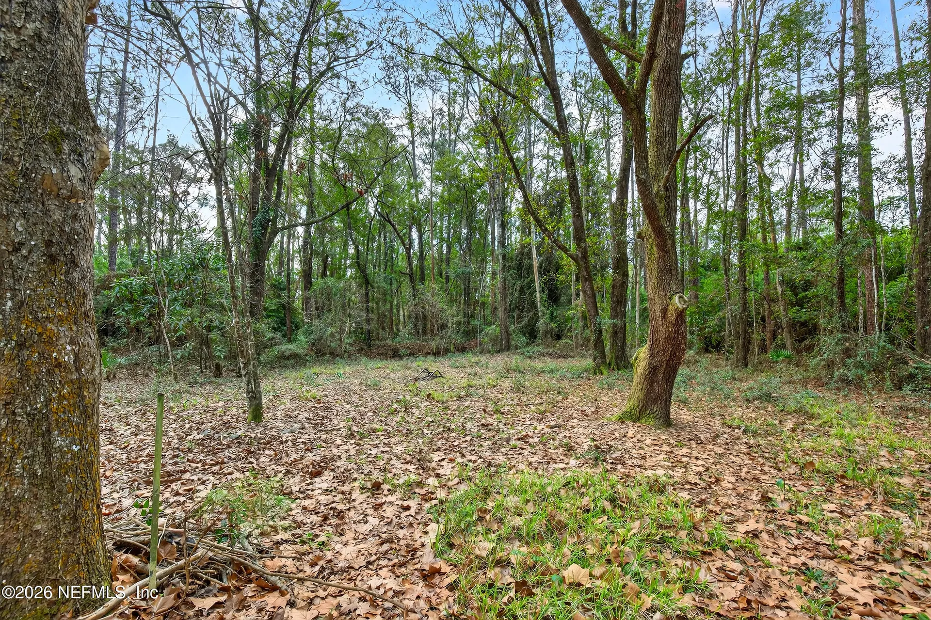 44561 Woodland Circle Circle Callahan FL 32011