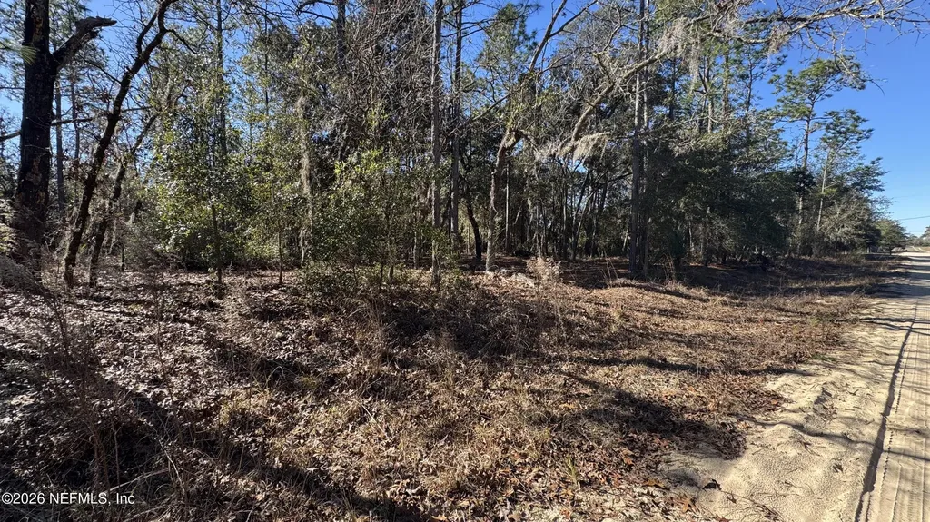 131 Spring Lake Drive Interlachen FL 32148