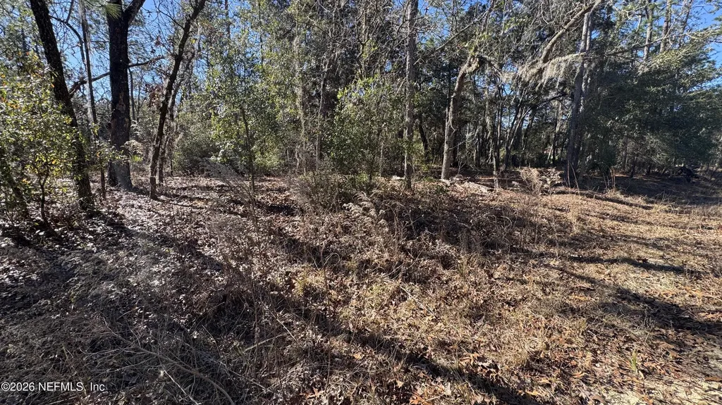 131 Spring Lake Drive Interlachen FL 32148