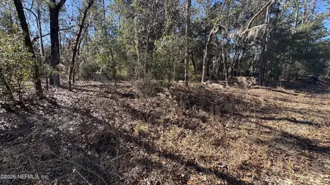131 Spring Lake Drive Interlachen FL 32148