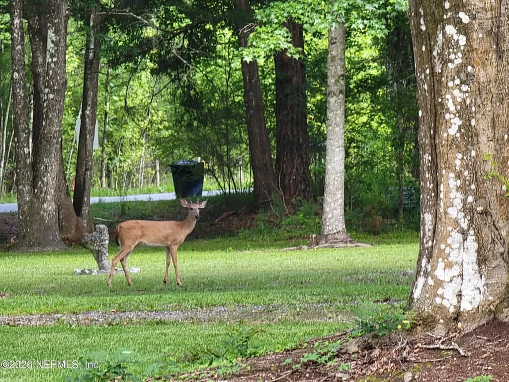 3084 Joe Johns Road Middleburg FL 32068