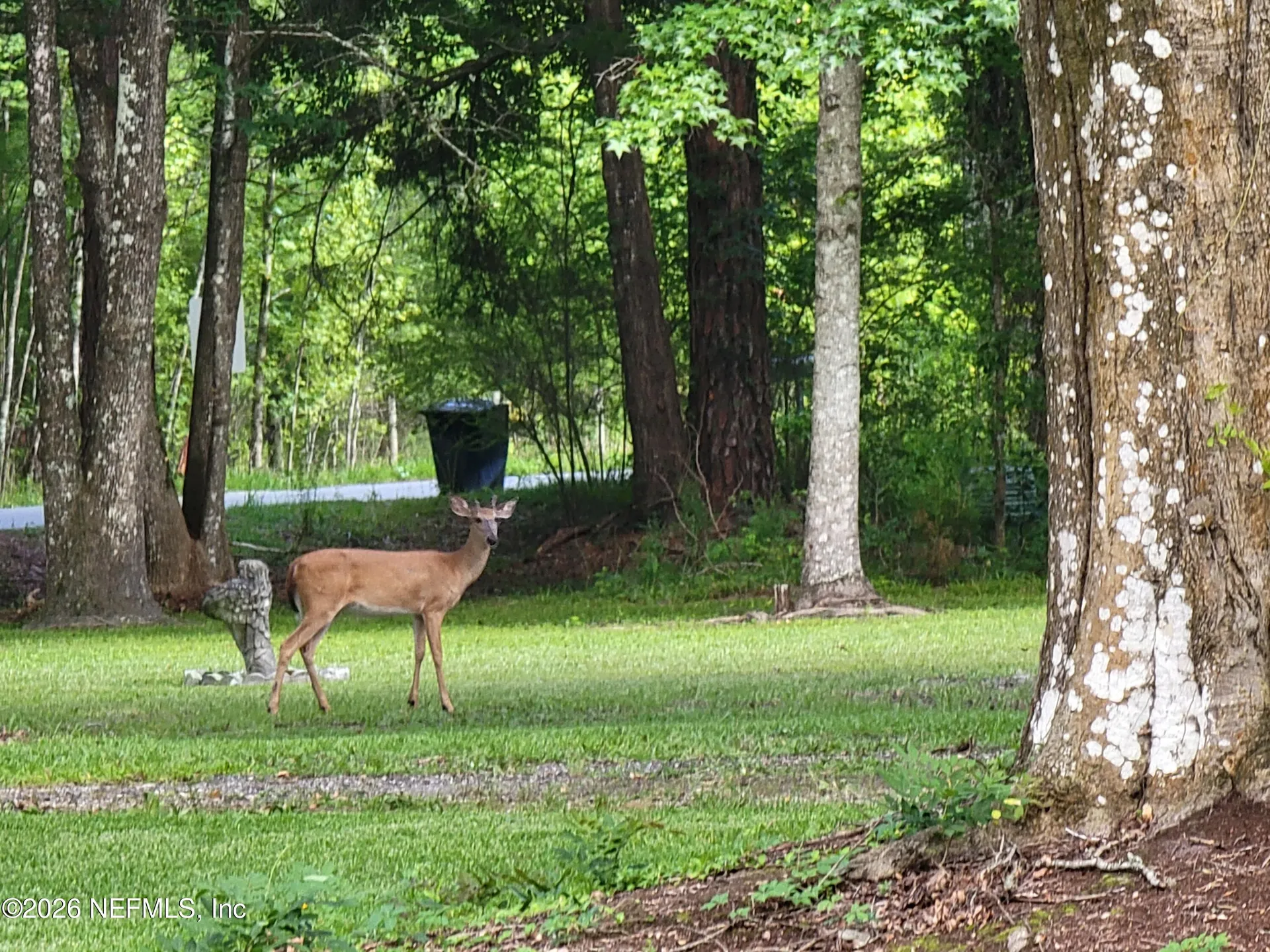 3084 Joe Johns Road Middleburg FL 32068